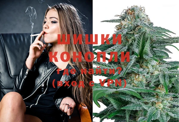 ПСИЛОЦИБИНОВЫЕ ГРИБЫ Горняк
