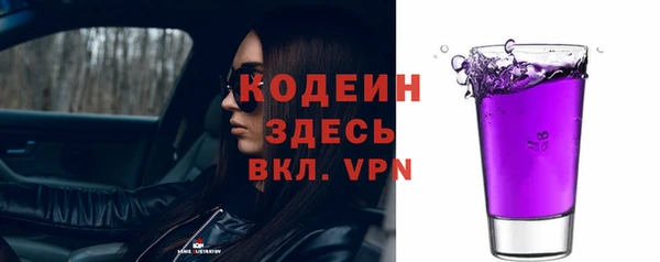 ПСИЛОЦИБИНОВЫЕ ГРИБЫ Горняк
